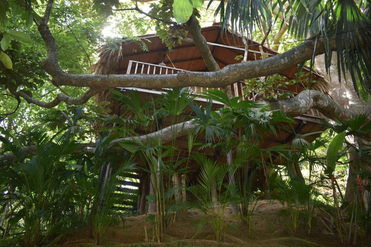 Ecohostal Rio Piedra เอลไซโน ภายนอก รูปภาพ