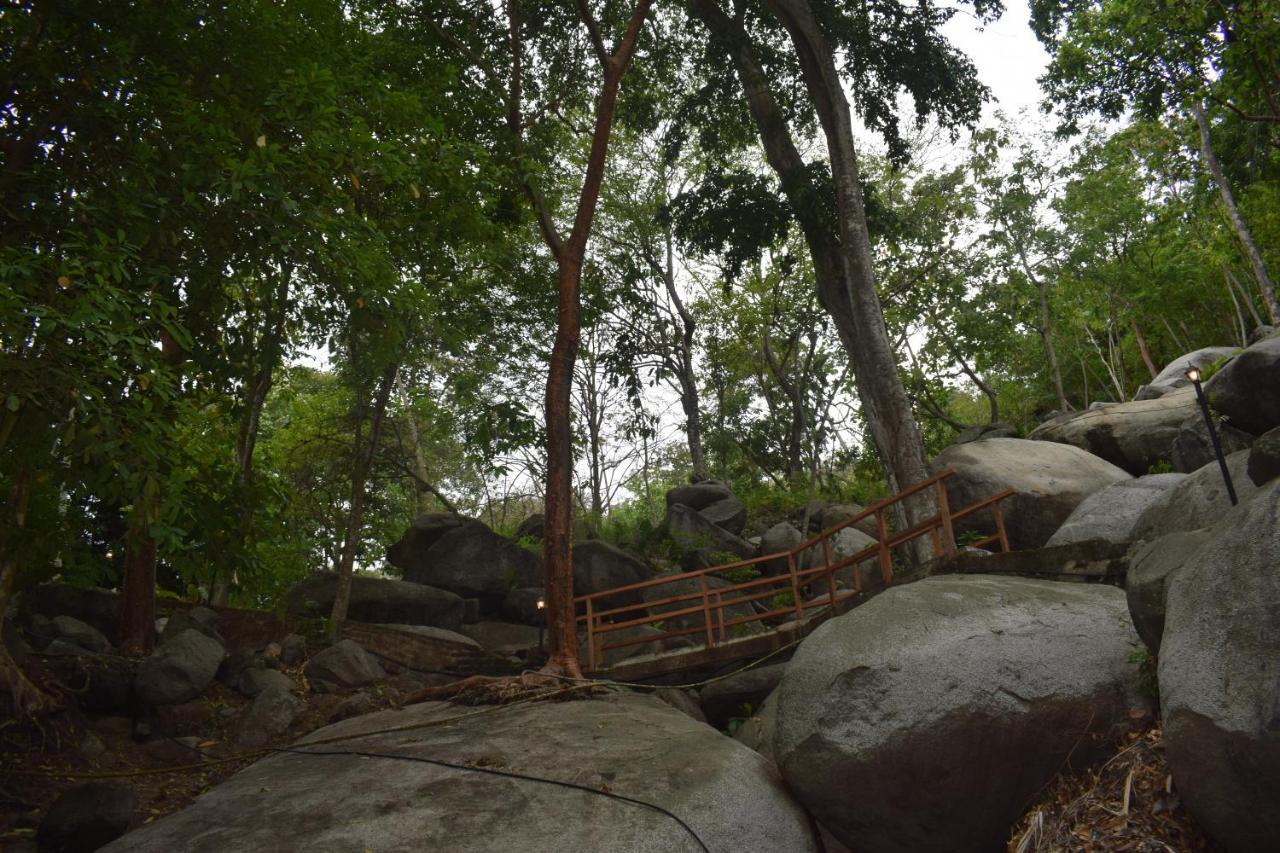Ecohostal Rio Piedra เอลไซโน ภายนอก รูปภาพ
